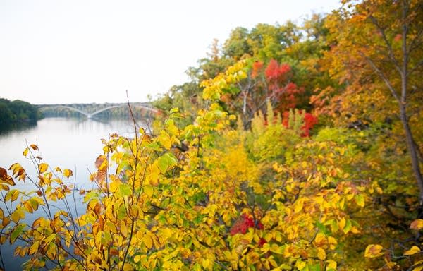 Fall color photos taken in St Paul