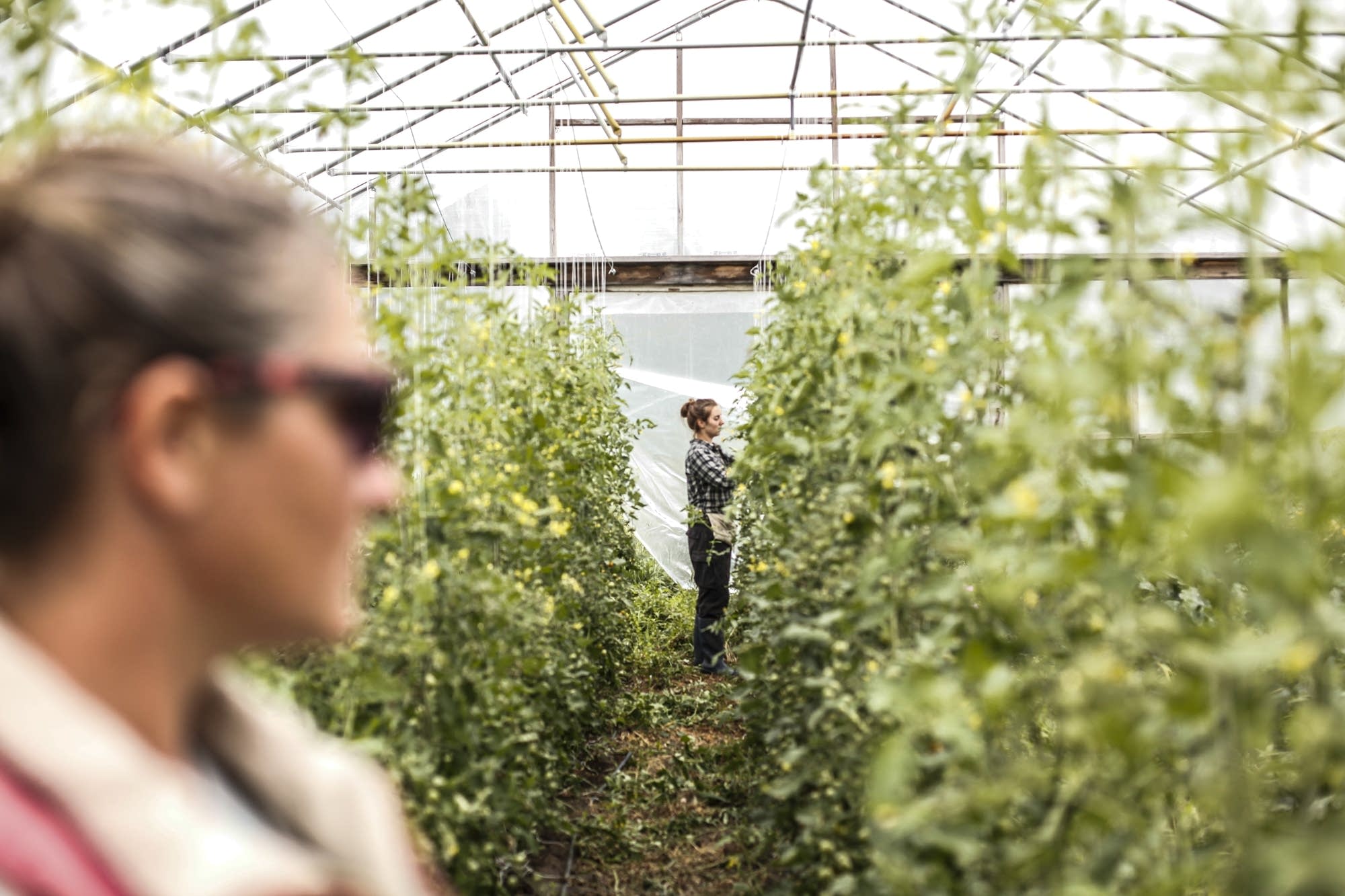 Woutat has two full time workers who help her with growing vegetables.