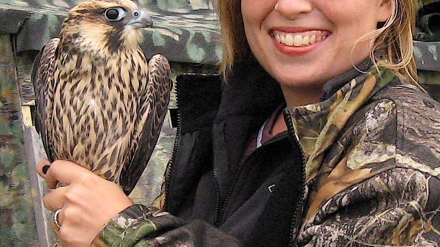 Expert Reveals The Sneaky Schwarzer Milan Roter Milan Unterschied Every Birder Should Know - 6wc2ktx