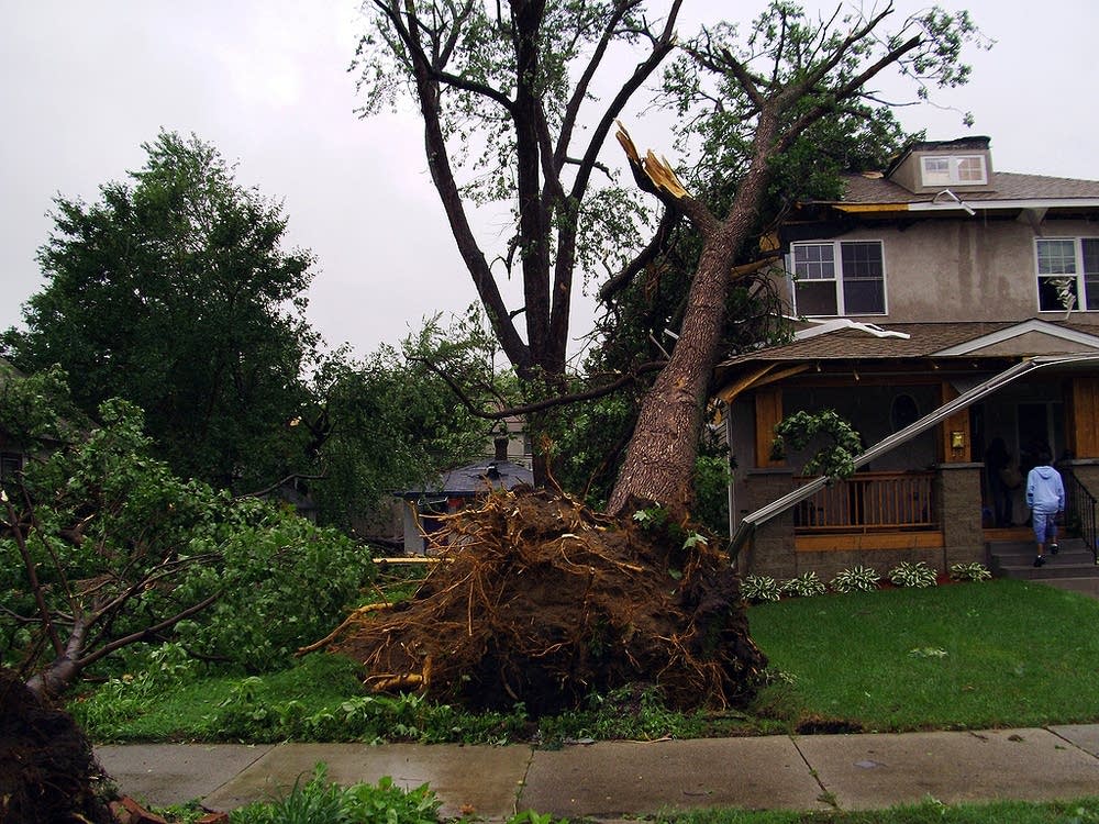Storm damage along Portland Avenue