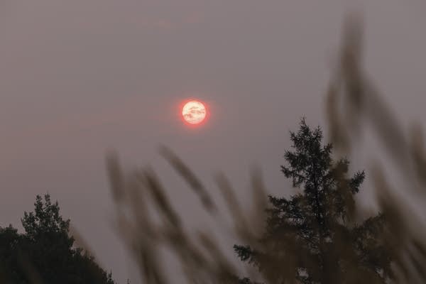 Orange tinted sun through smoky sky