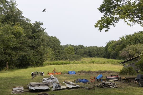 A bird flies over gardening equipment.