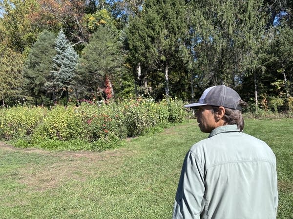 A man overlooks a field