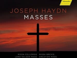 'Haydn: Masses'