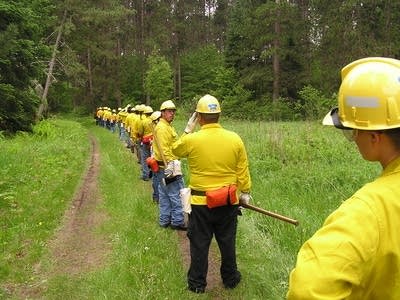Fireline at fire school