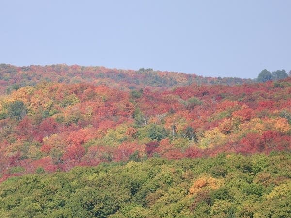 Fall colors are seen along ridges and hills