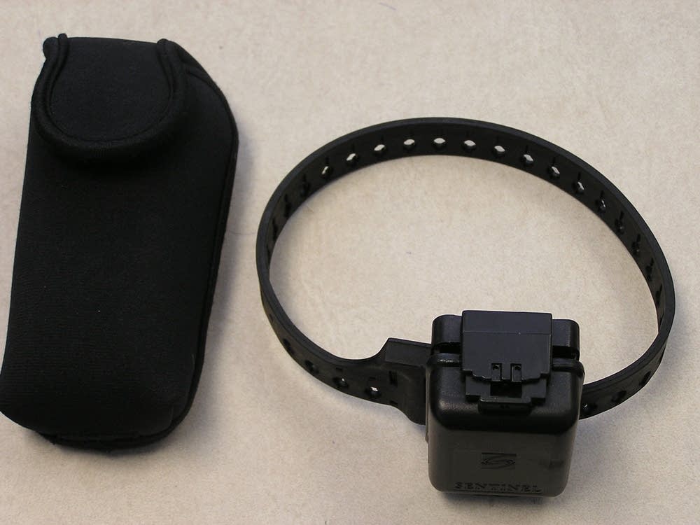 GPS monitor