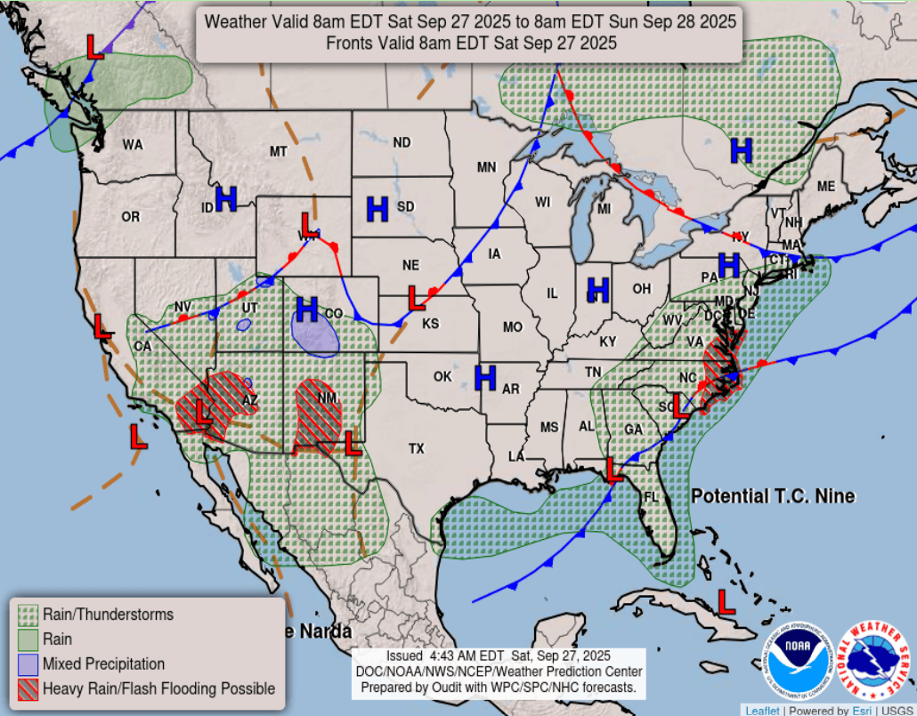 Surface analysis for Saturday