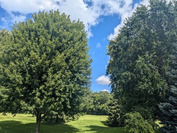 Weather perfection? Sunshine and mild temperatures ahead into the weekend 