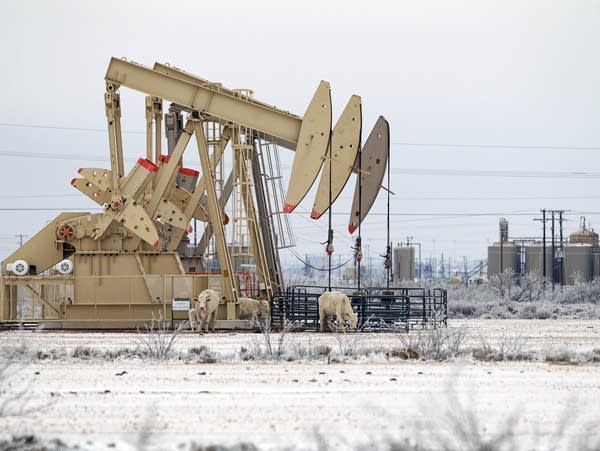 Wintry weather blanketing U.S. to make rare dip to Gulf Coast