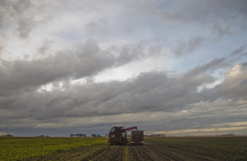 Harvester and truck