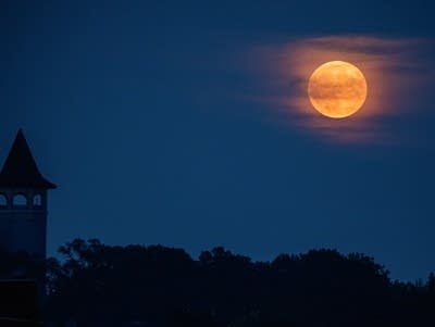 Coffee Break: Fall Back