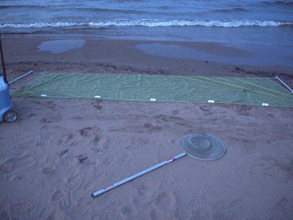 Equipment for fishing lay out