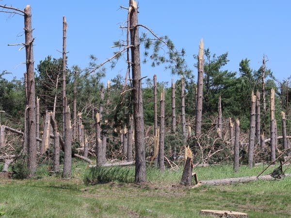 Bemidji area storm caused $9.8M in damage, but falls short of FEMA aid threshold