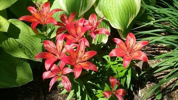 Hotter and muggier by midweek; scattered showers and thunderstorms at times