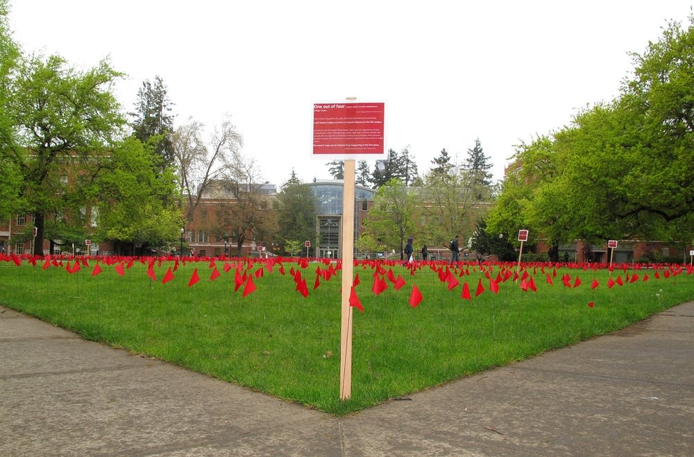 Campus sexual assault protest