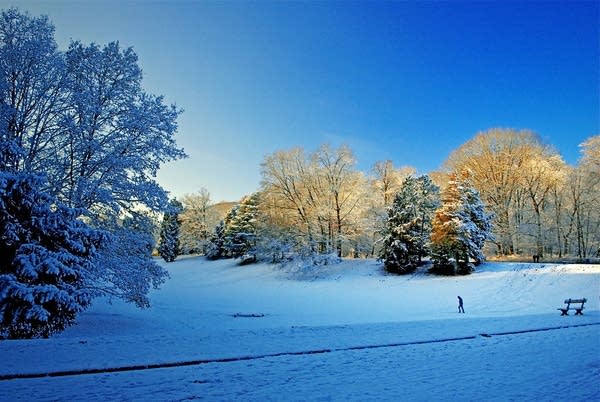 Poster The Solitude of Winter