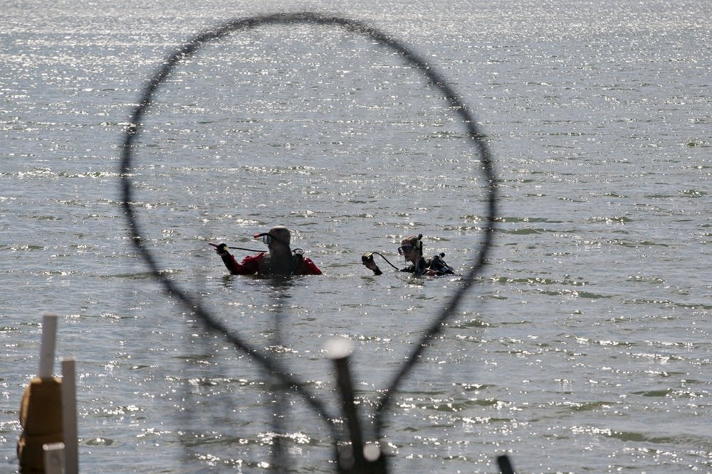 DNR divers