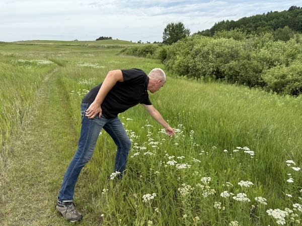 man pointing at wildflower