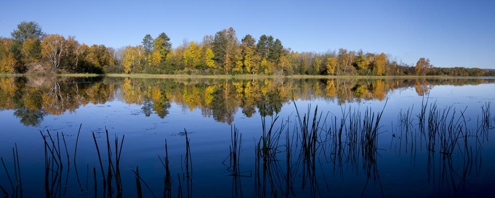 Clough Island in the St. Louis River estuary