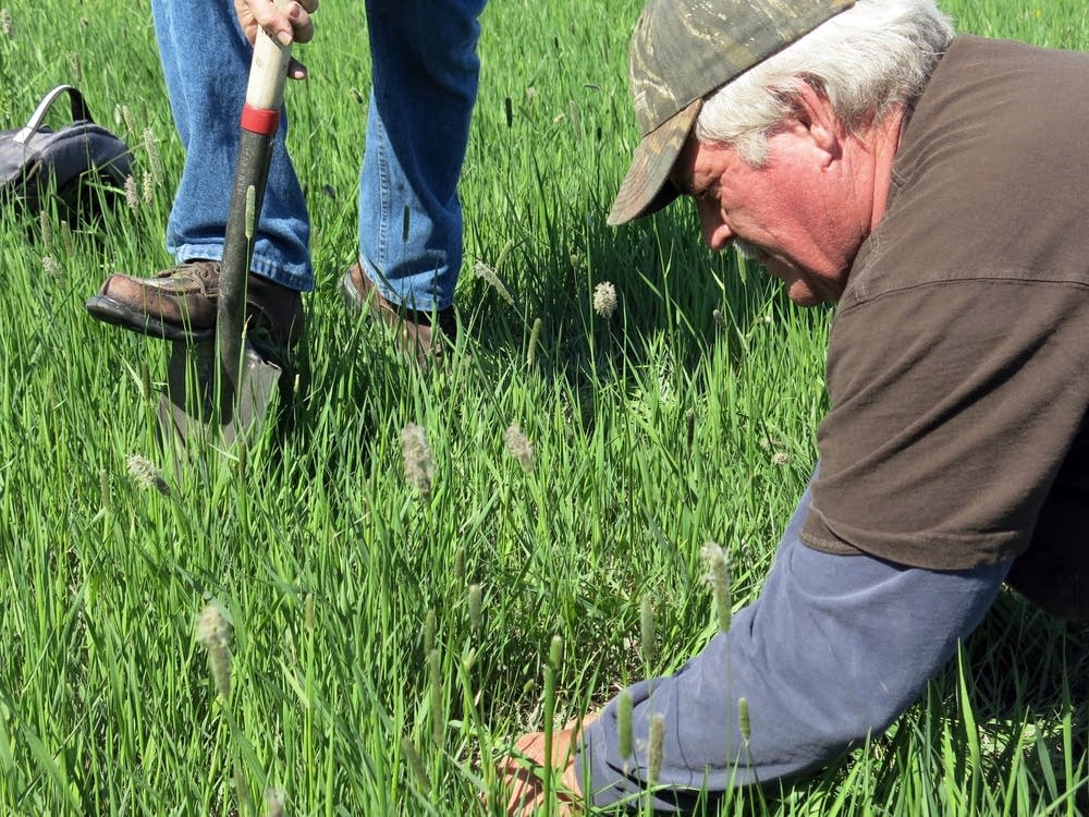 Doug Toussaint examined the soil surface.