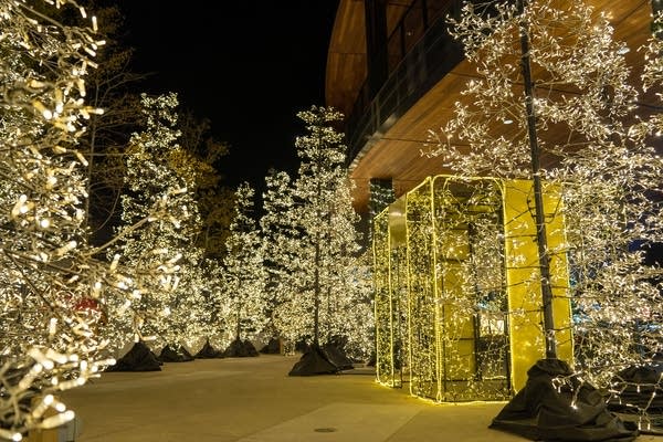 lights adorn trees