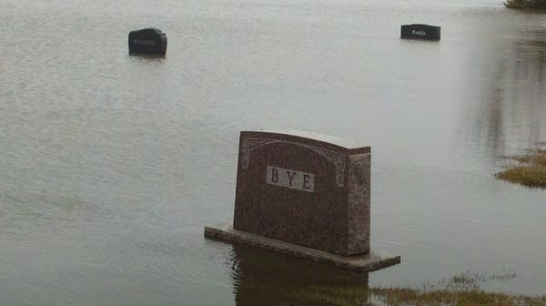 If people are already forgotten, should cemeteries be saved?