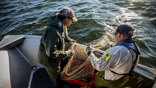 DNR employees Kris Nissen, right, and Greg Berg haul in a net.