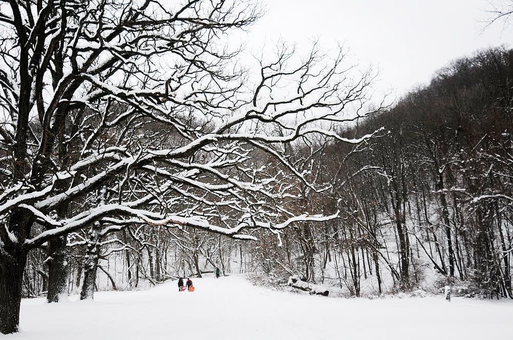 Sledding