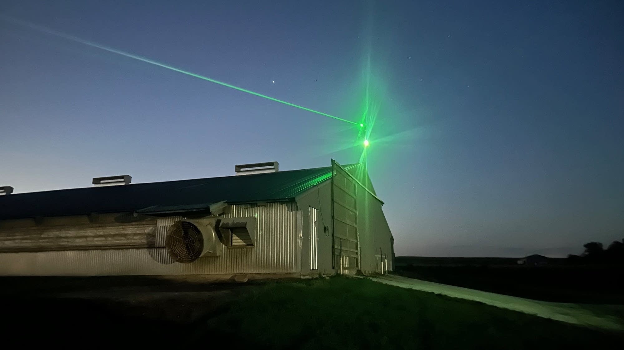 May the force be with them: Turkey growers turn to lasers to ward off bird flu – MPR News