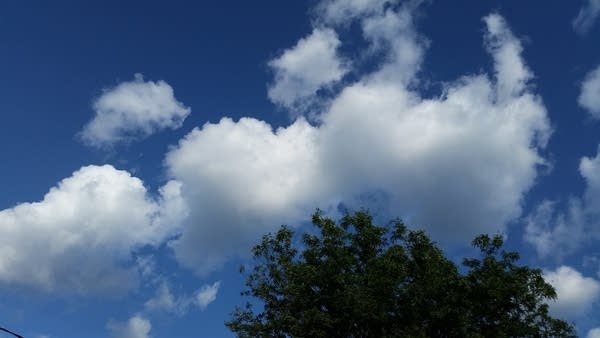 Summery warmth and humidity; thunder chance in some areas