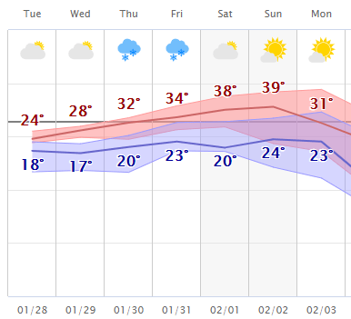 weather graphic