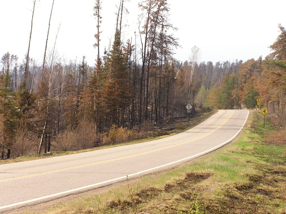 Roadside