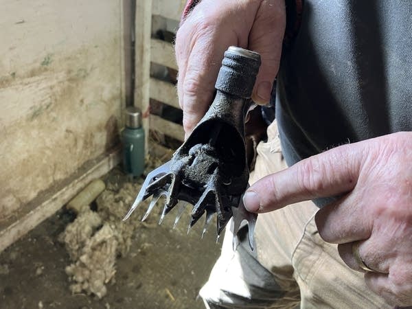 Ron Kilstrom holds a sheep shearer pointing to a blade.