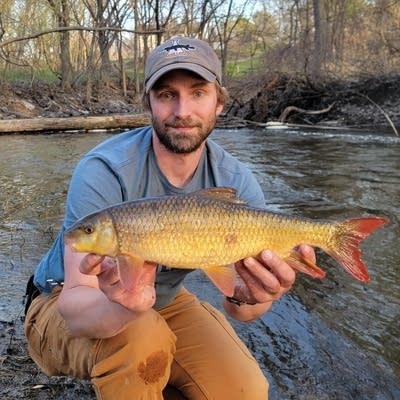 Once considered 'junk,' native rough fish soon could see new catch limits, protections