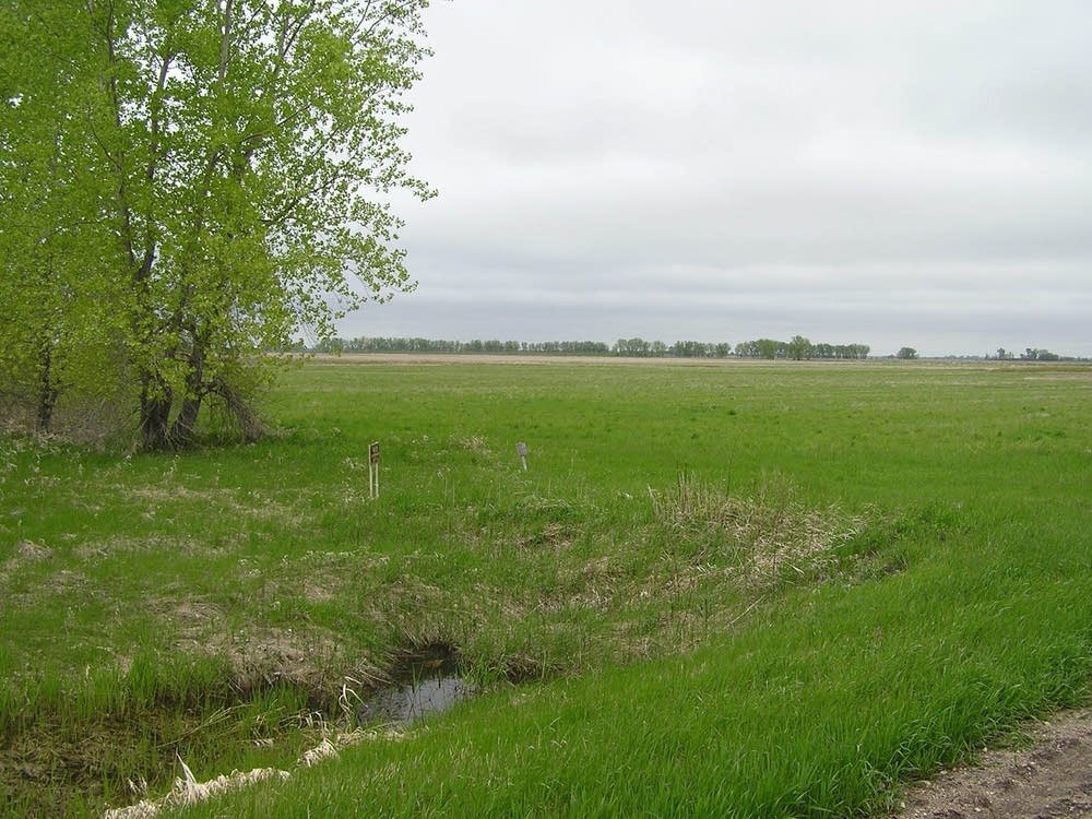 Project site