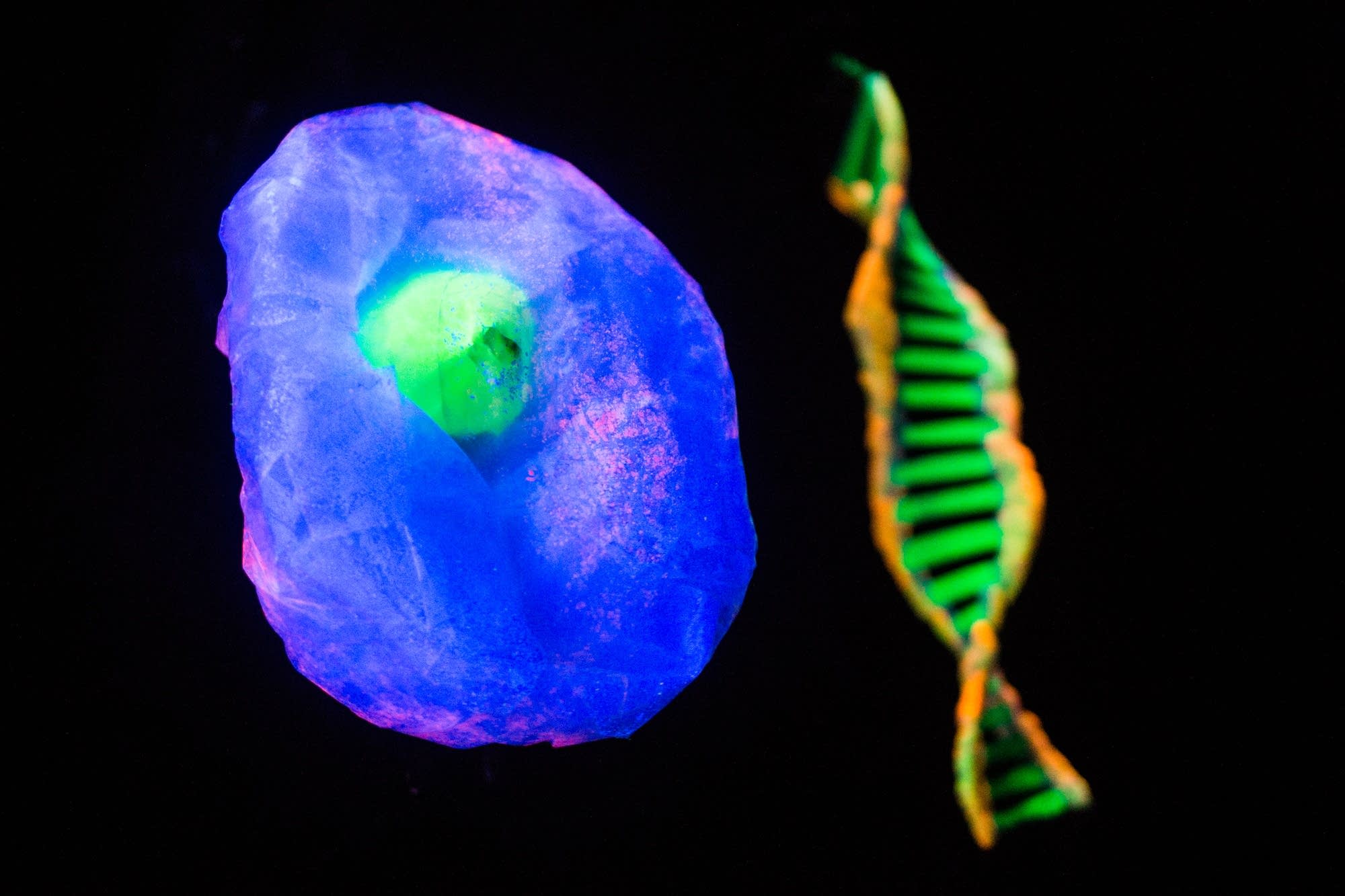 A cell and DNA float on stage.