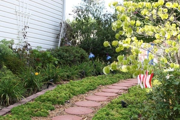 Side-Yard-2