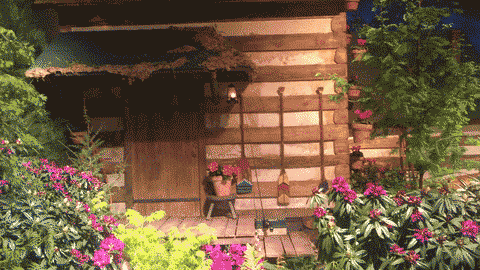 Macys-Flower-Show-3