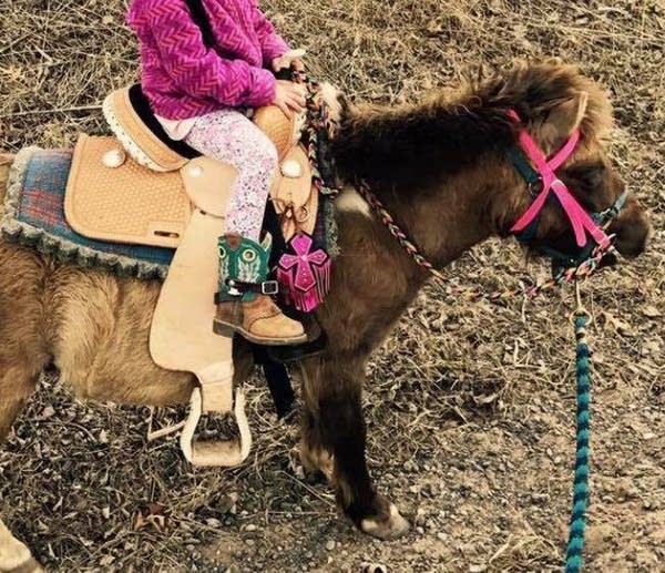 Who stole a 4-year-old girl’s saddle?