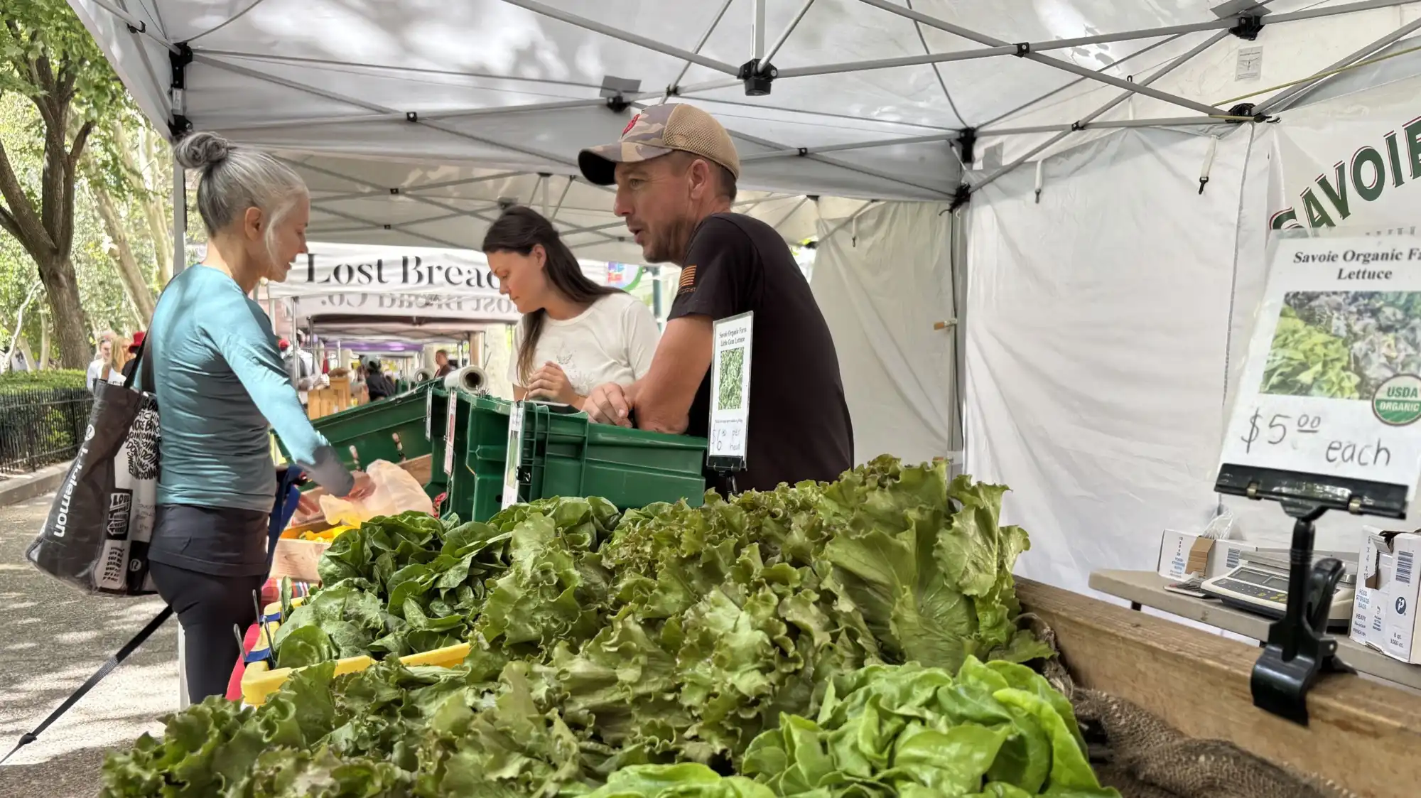 “You're out right away”: Lettuce sells fast at farmers' markets amid cyclospora outbreak
