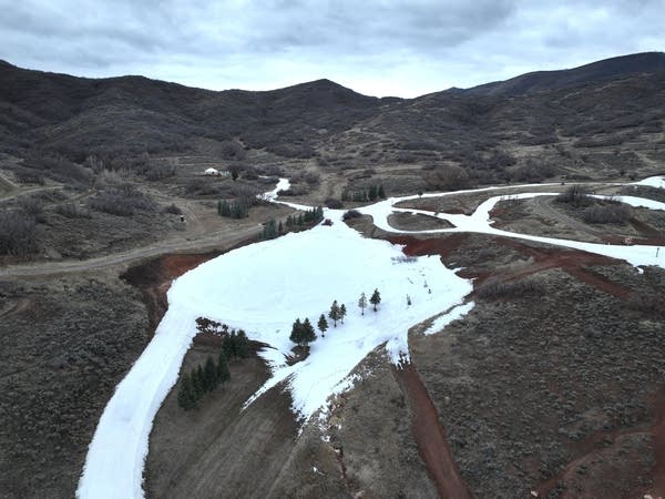 A large pile of snow with cross country ski trails and grass surrounding it.