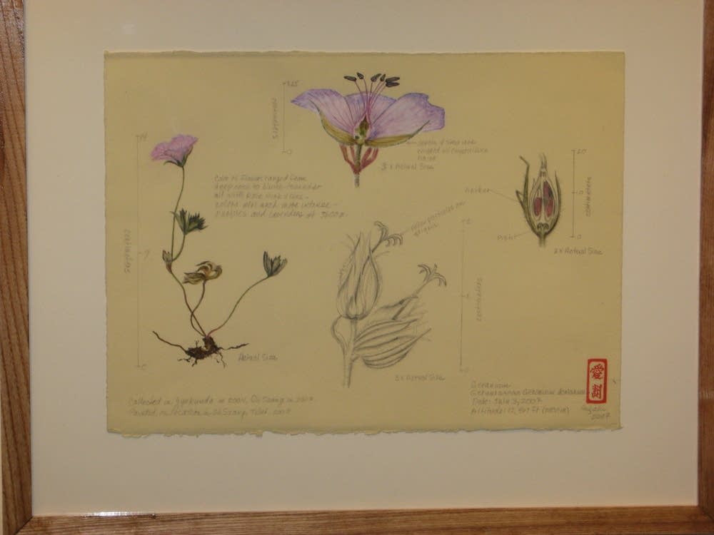 New style of botanical