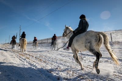 Riders on horseback ride on a snowy trail 