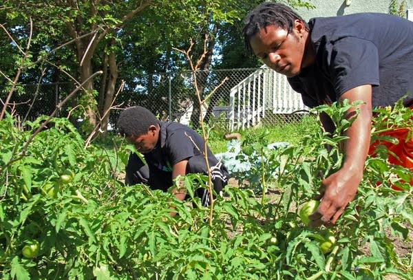 Minneapolis nonprofit Appetite for Change promotes healthy eating with music