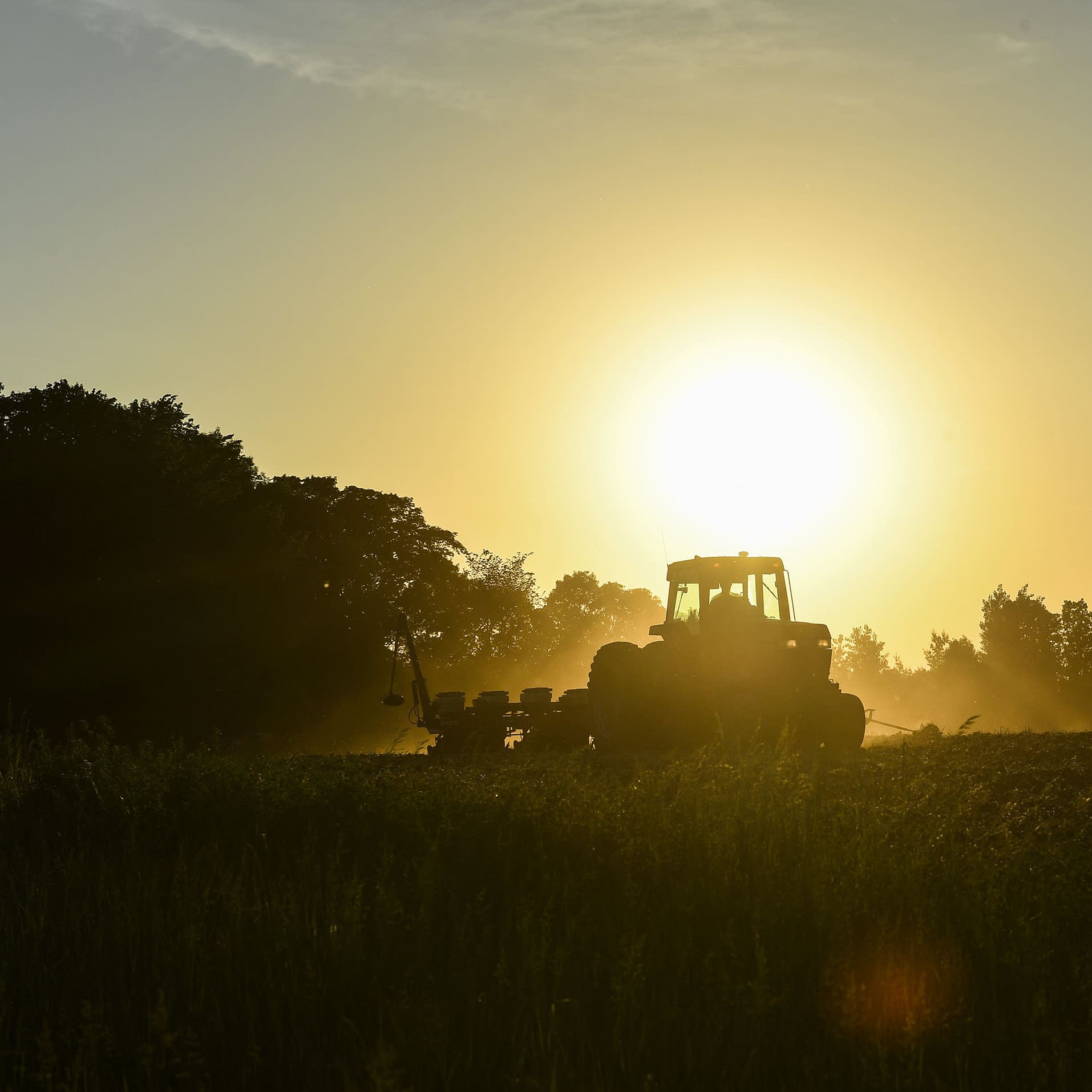 The hot new crop is diesel