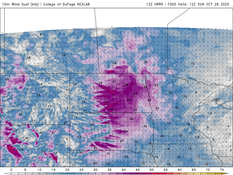 Wind speed and direction Sunday 7 a.m. to 7 p.m.