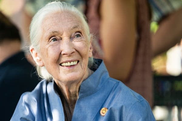 Jane Goodall, renowned for chimpanzee research and environmental advocacy, has died
