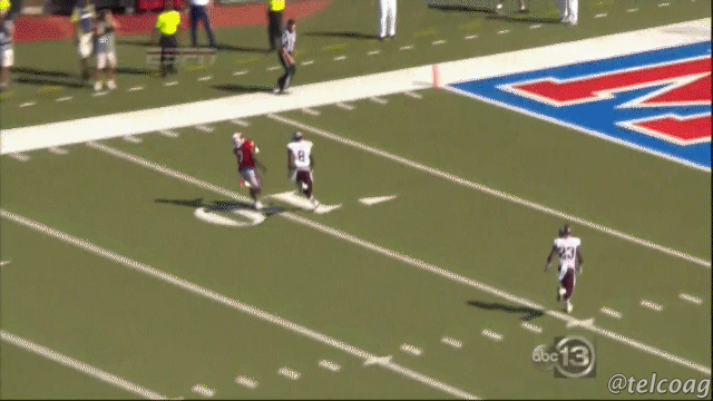 Handler’s block saves dog from football player
