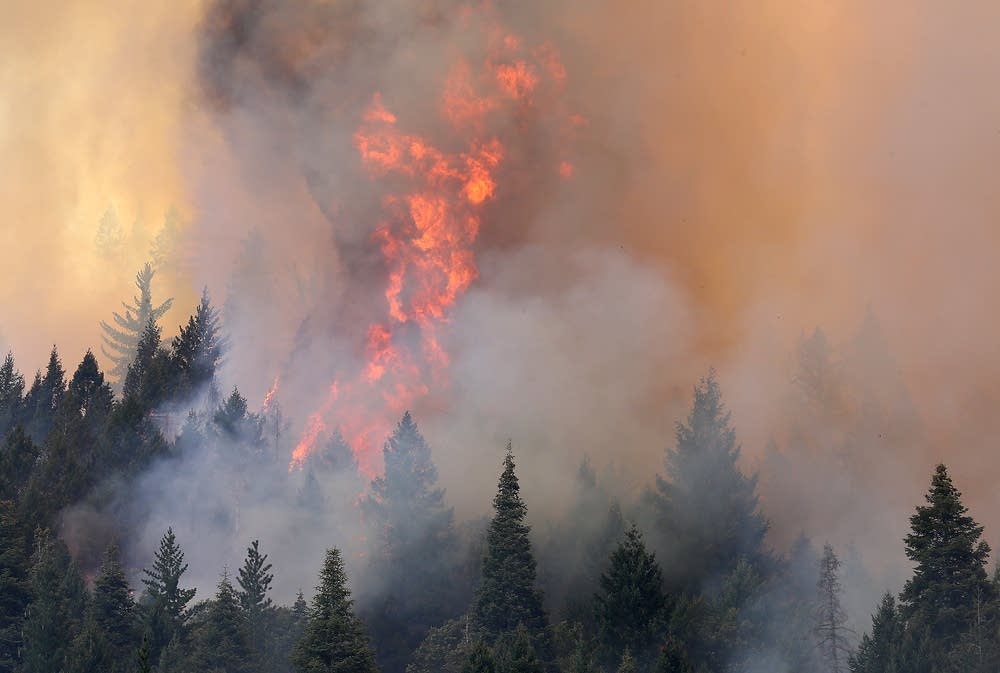 Rim Fire burns near Yosemite National Park